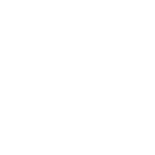 Raccoon