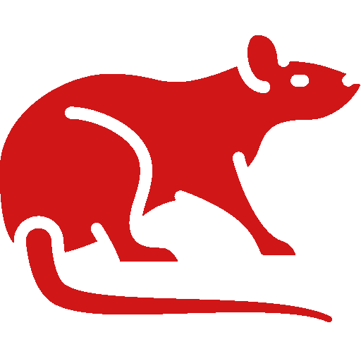Rat
