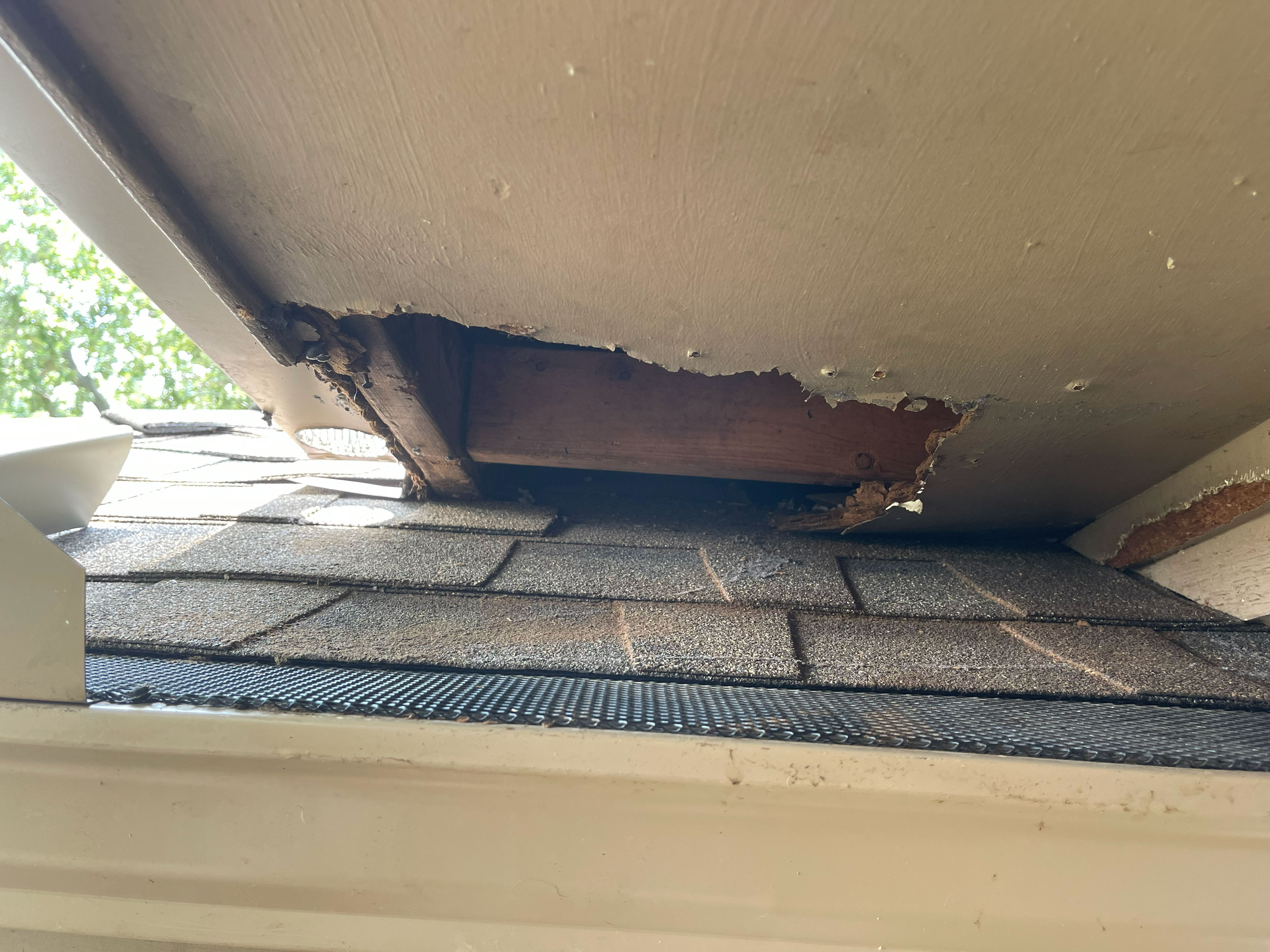 Animal exclusion roof repair